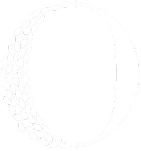 chainels-111775046756833651-logo-41